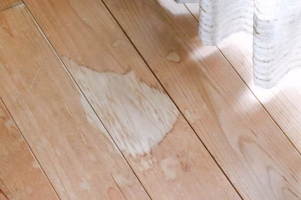 A large cloudy white water stain on a natural light oak hardwood plank floor