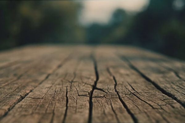 Close-up macro view of cracked weathered solid wood timber board